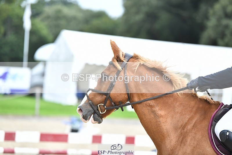 230820-111544-00498 - 90cm - Round 1