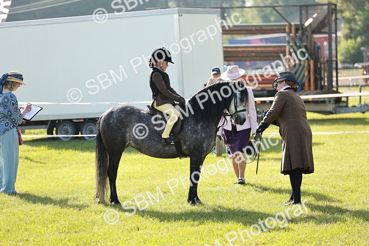 SBM_11215 - Class 106-107 - BSPS LIHS Working Sports Pony