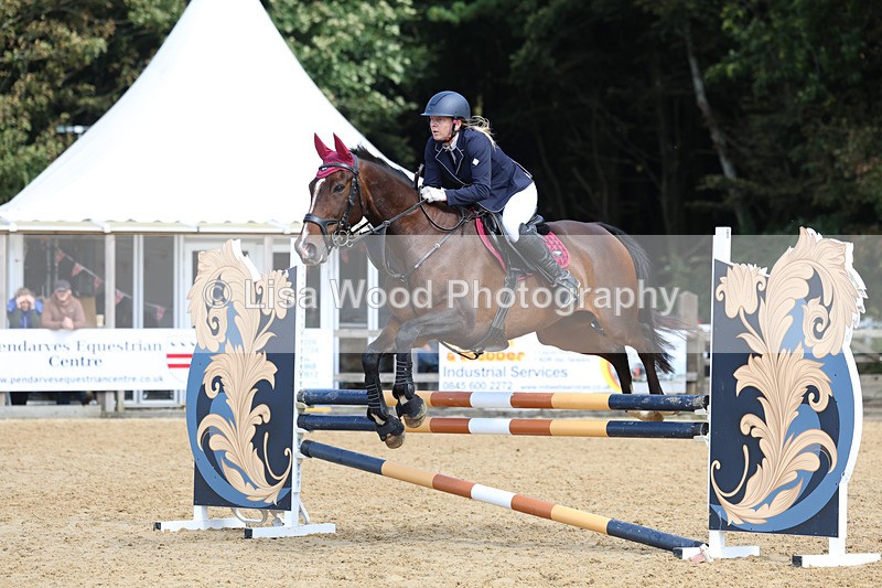 3E7A9106 - Class 9: Senior British Novice/90cm open