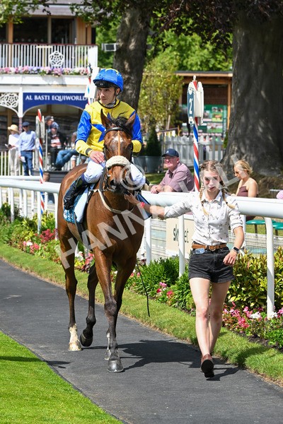 130625-Race 1-Feel The Need-8424 - Race 1 1.50pm Andy Thornton Hospitality Furniture Apprentice Handicap