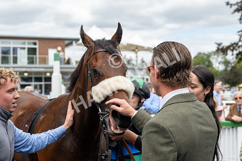 020825-Race 1-Rikki Tiki Tavi-2485 - Race 1