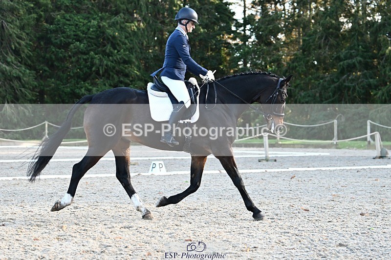 231110-133906-01011 - Cls 4 Novice 39Q