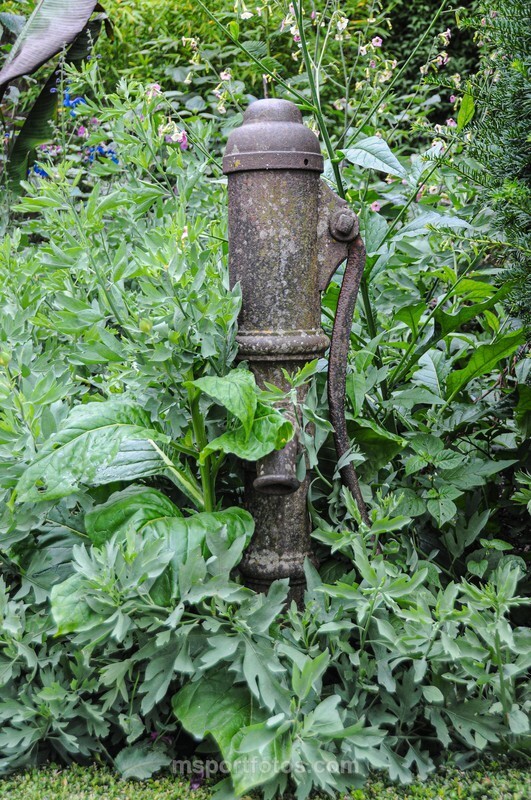 Olde Pump in Clovelly - Travel, city/land scapes