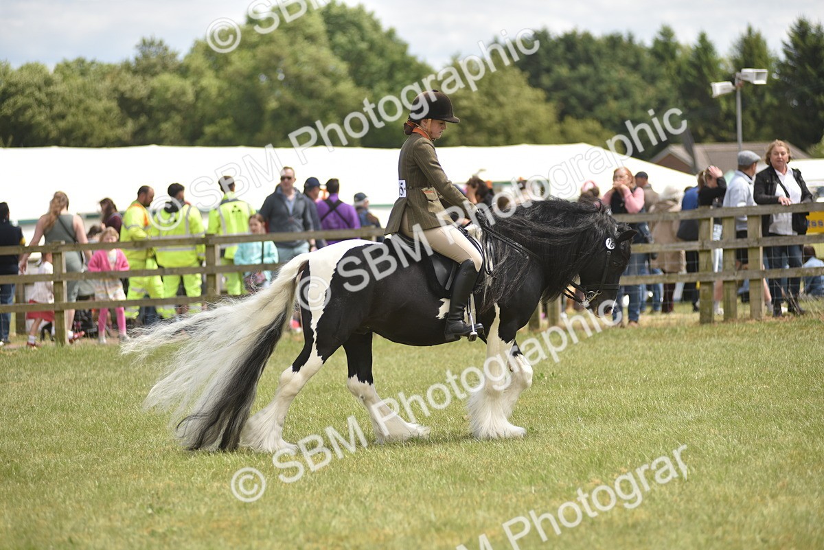 SBM_15915 - Class 117-122 - SSADL RIHS Qualifier