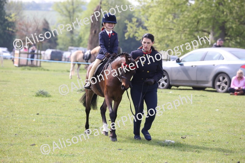 20260426-2587 - Class 31 - Leading Rein
