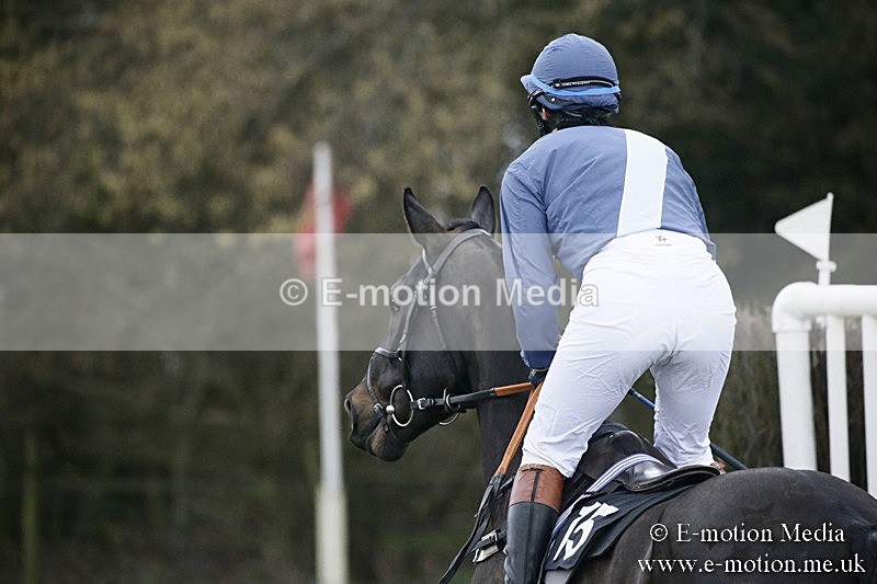 PtP 110318 220 - Hampshire Hunt Point-to-Point Hackwood Park 11/03/18