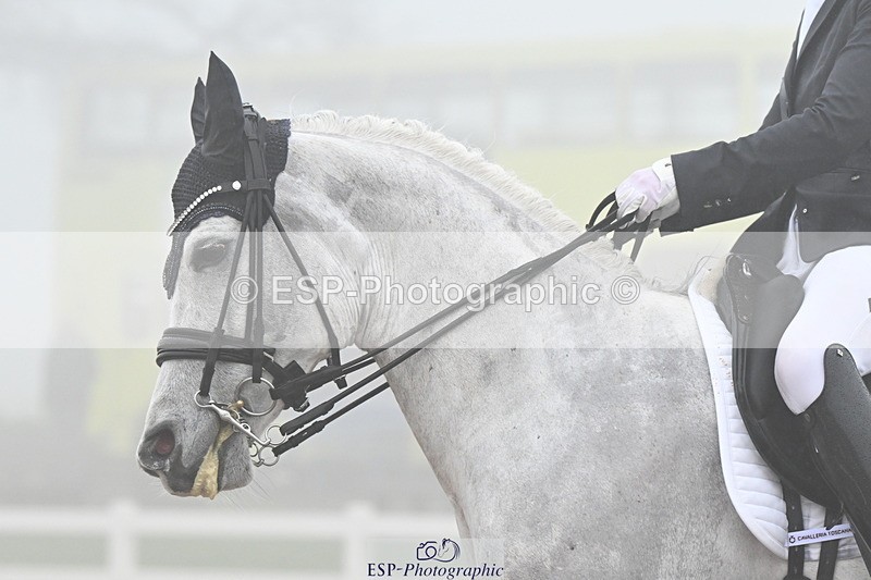 240217A-142618-03599 - 238-Josephine.Fenton-Kashan.Maheer.Ibn.Montroze