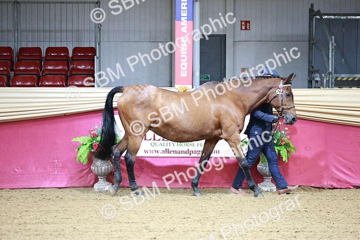 SBM_00130 - Class 1A - Area IH Diamond