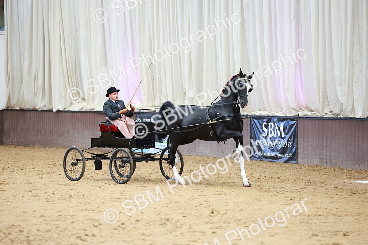 SBM_001001 - Class 13  - HHS Championship Intl Hackney Horse to a Show Wagon