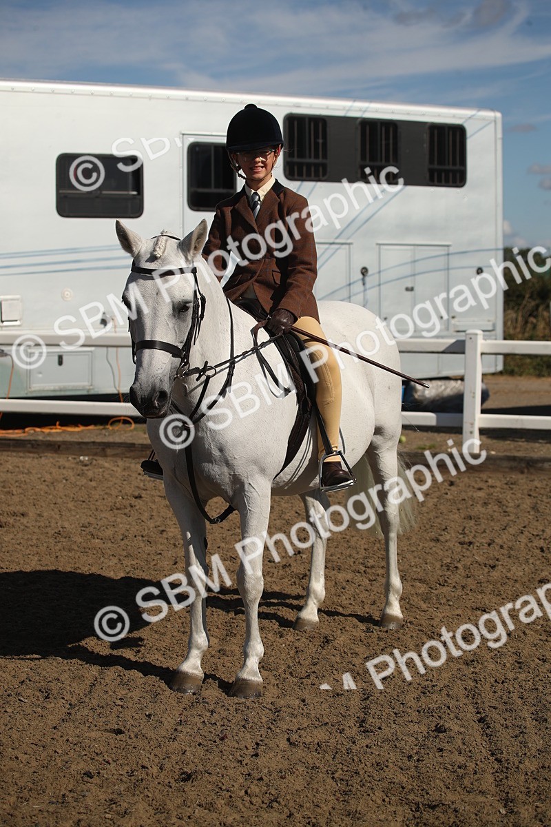 SBM_12763 - Class 504b - Junior Working Veteran - 40cm (20+)