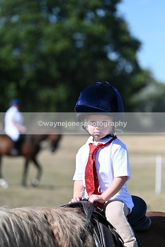 WJ7_1488 - Class 42 Most Handsome Gelding