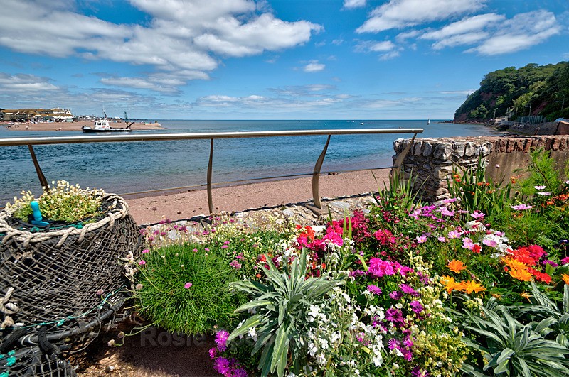 Lobster Pots and Flowers at Shaldon - Teignmouth and Shaldon