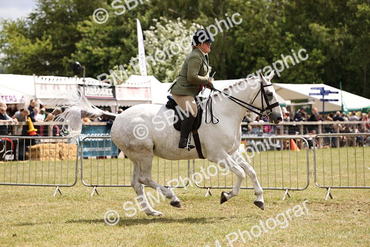 SBM_14806 - Class 88-89 - LIHS BSHA Rising Star of Ridden Hunter Type