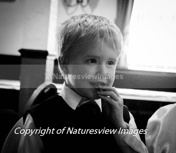 IMG_6280 - Weddings