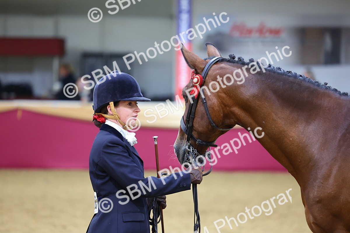 SBM_19503 - Class 901 - Supreme Final - IH Diamond