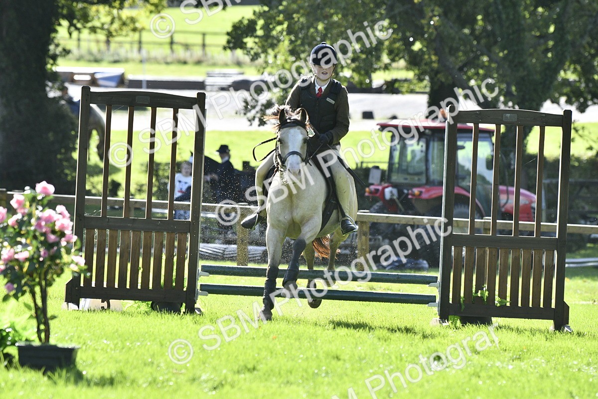 SBM_38199 - S31 - Novice & Newcomer Working Hunter Pony