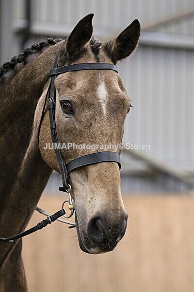 SIAL2690 - Sunday 14th Ridden