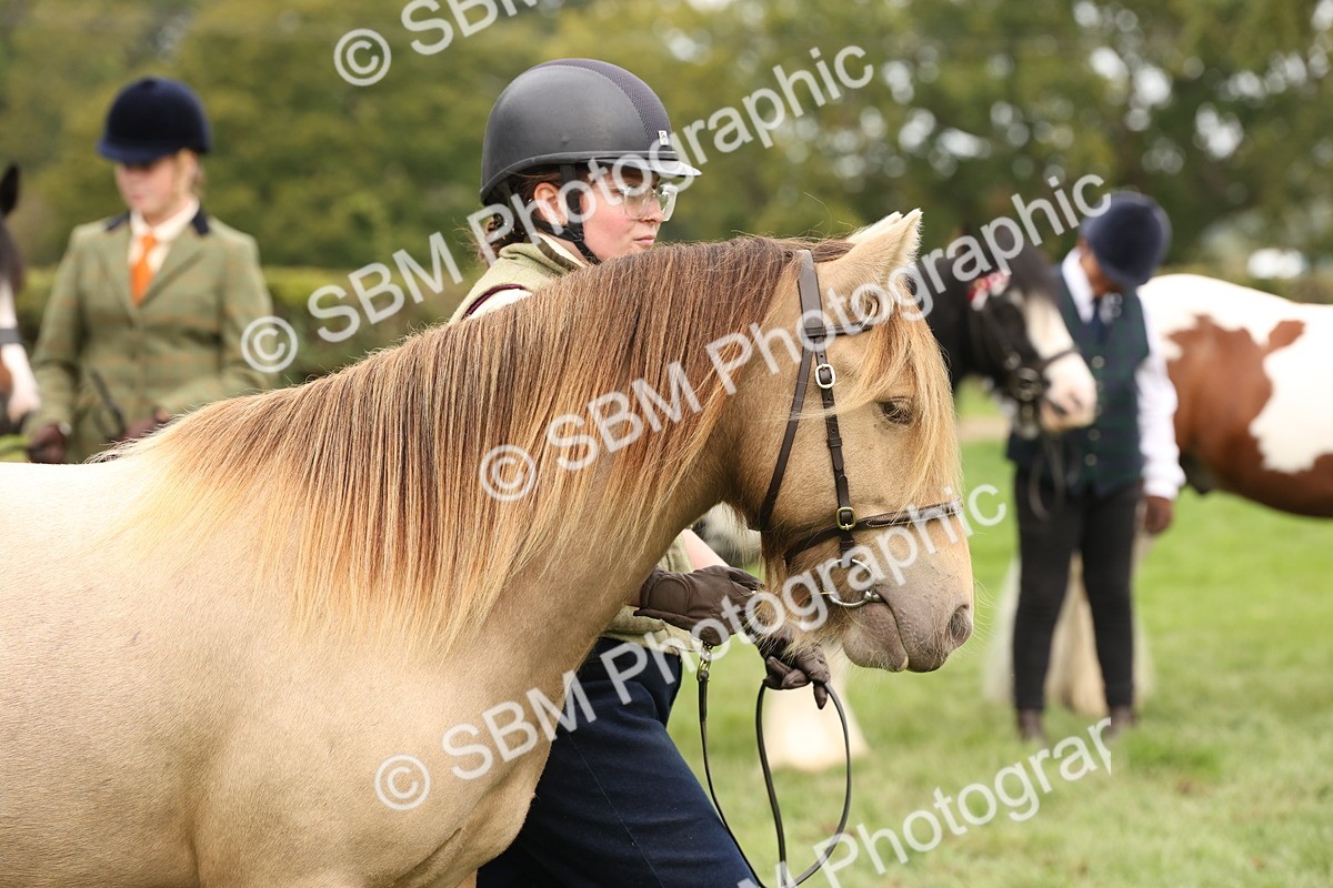 SBM_59332 - S57 - Traditional Cob In Hand