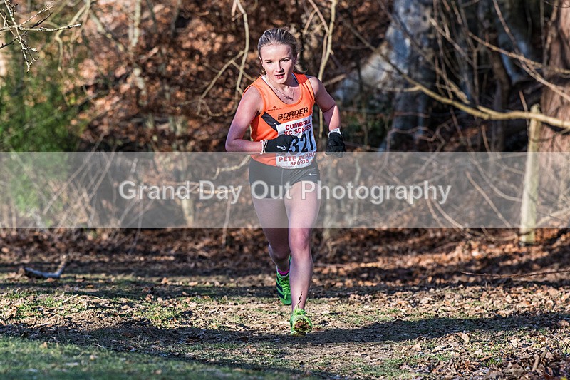Cumbria XC-542 - Cumbria Cross Country Championships (Junior & Senior Races) Saturday 3rd January 2026
