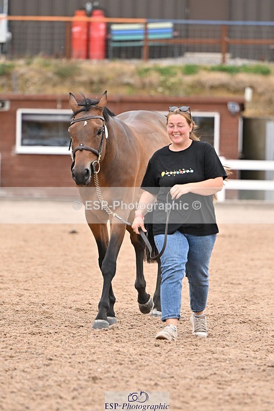 250716-160741-02428 - Trot Up 3.30 to 4.30