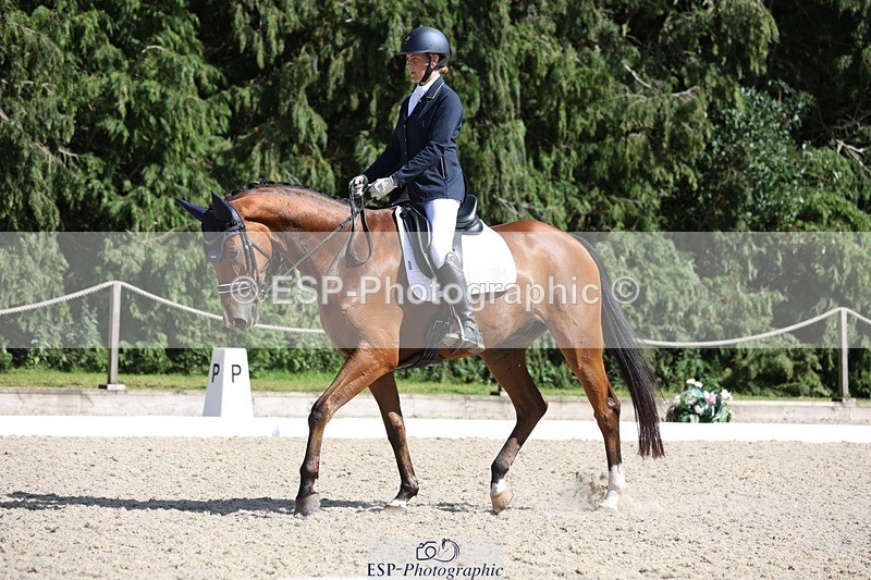 230811-154235-02510 - Cls 1 Prelim Bronze 15.00 to End