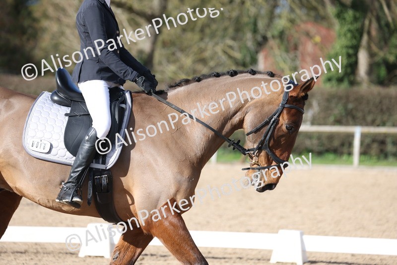 20260228-0764 - Class 5 - Novice 2