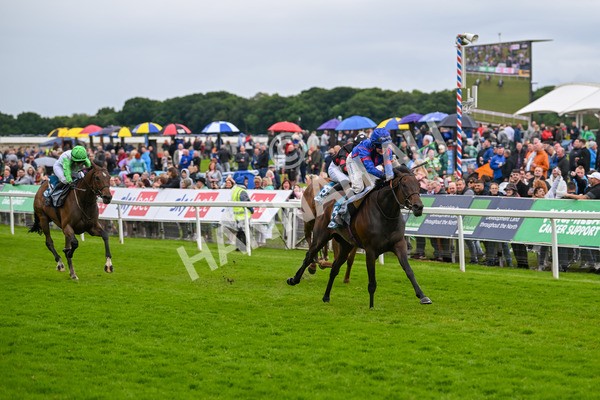 150624-Race 1-Lord Melbourne-6724 - Race 1 1.50pm Queen Mother's Cup Handicap