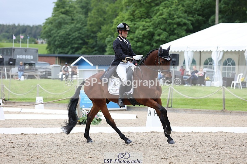 240523-145758-02988 - 231-DHI_ROCK_DANCER-Roberto_Scalisi