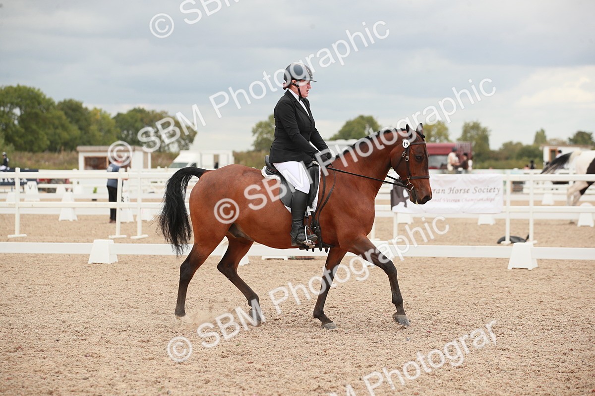 SBM_06074 - Class 32 - Novice 1