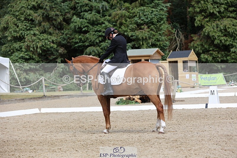 250718A-145331-02312 - 107-Beatrice.Coker-Brown-Portia.the.Fawn