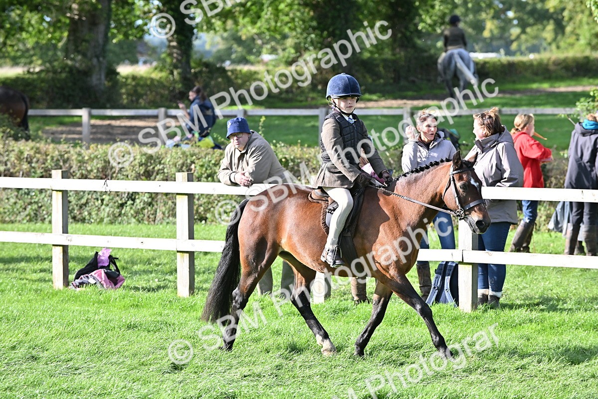 SBM_51263 - S22 - First Ridden show and show Hunter Pony