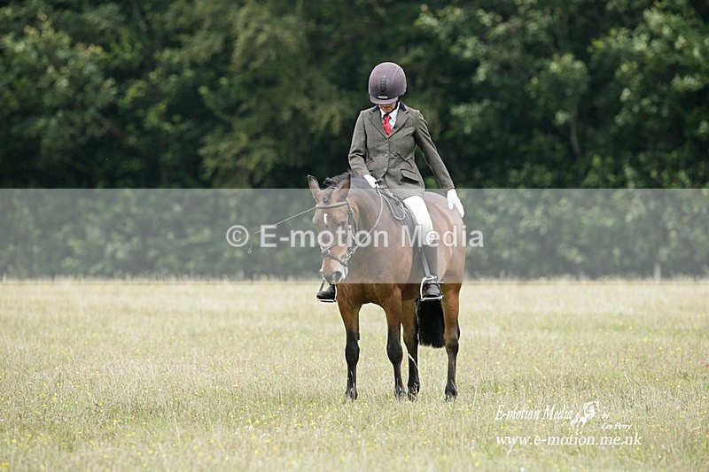 BVRC 030721 413 - Bourne Valley Riding Club Dressage 03/07/21