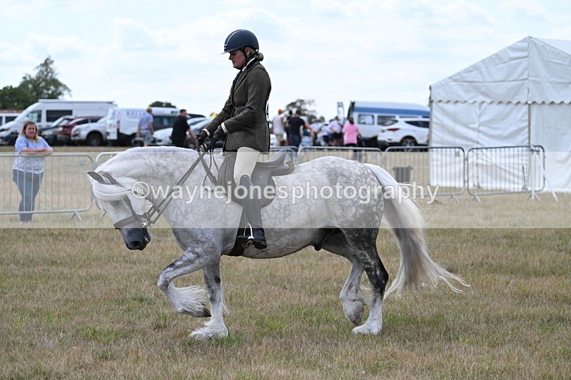 WJ7_5278 - Class 12 Ridden Cob