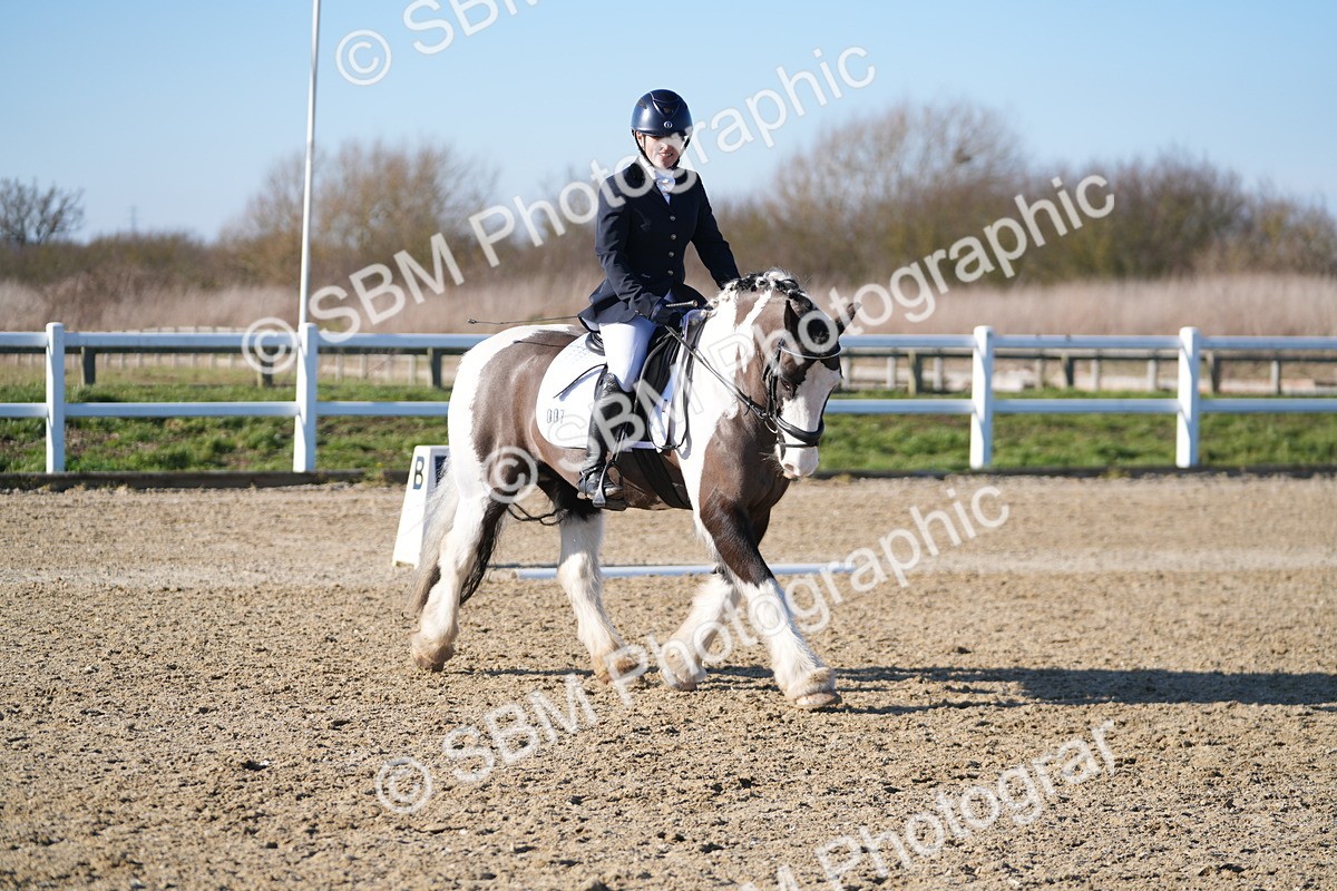 SBM_004203 - Class 3 - P2-80cm - E1