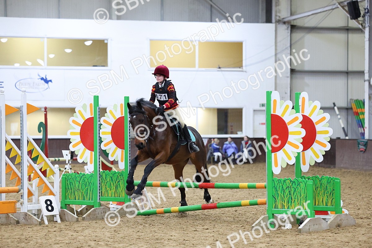 SBM_001034 - Class 3 - Christmas Tree Stakes - 60cm