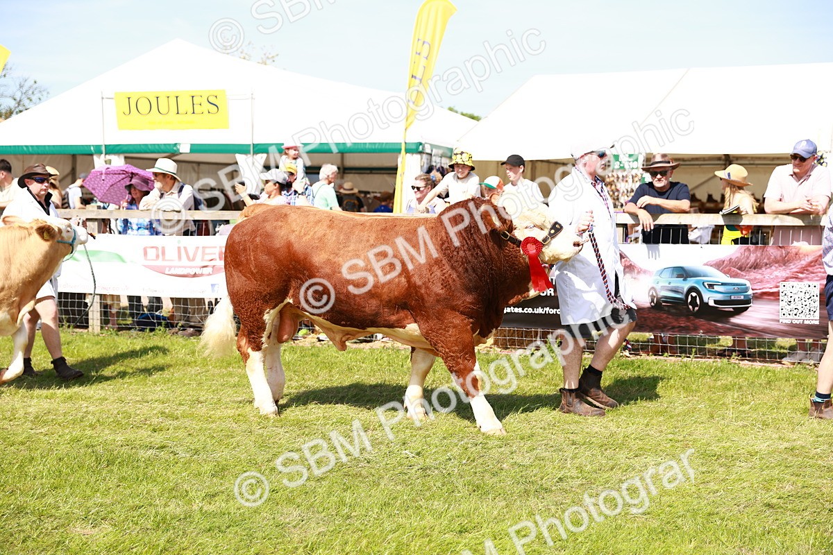 SBM_08362 - Grand Parade