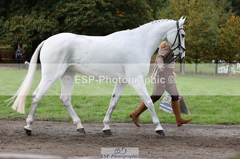 251026A-113919-25592 - G-558-Chloe.Chamulewicz