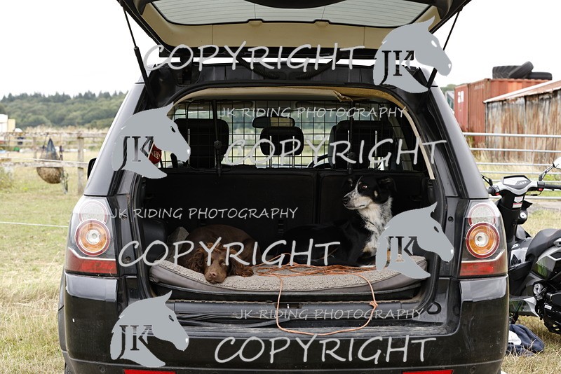 _R6A9529 - GENERAL PHOTOS