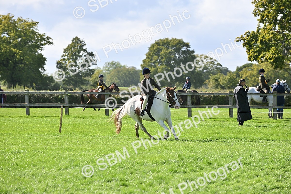 SBM_44572 - S13 - Pony Club Pony
