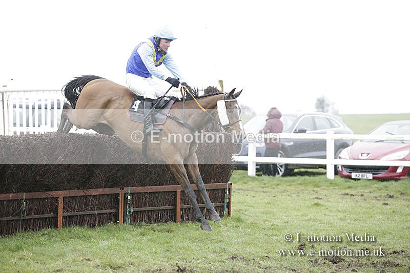 PtP 150320 0368 - New Forest Point-to-Point Larkhill 15/03/20