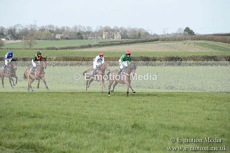 PtP 230319 329 - VWH Hunt Siddington Point-to-Point Racing 23/03/19