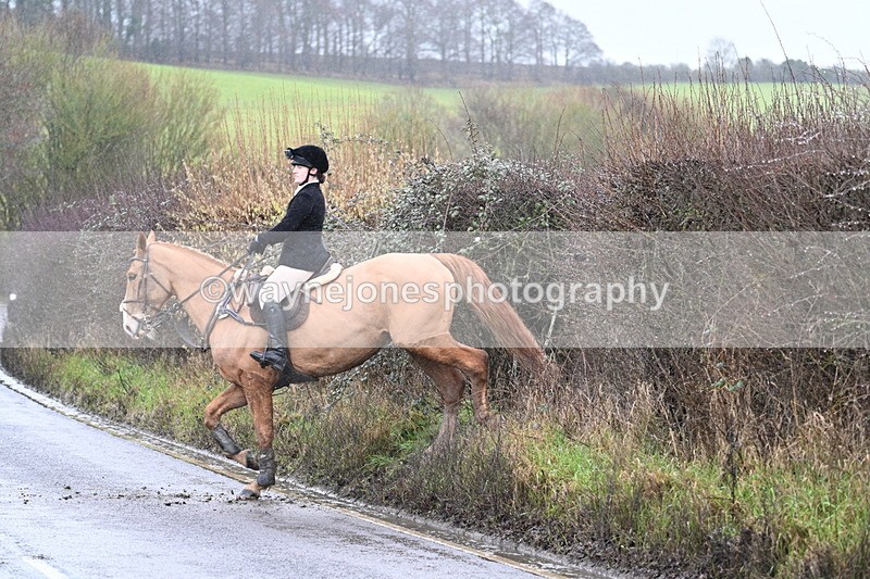 WJ7_7109 - Crossing A Camera