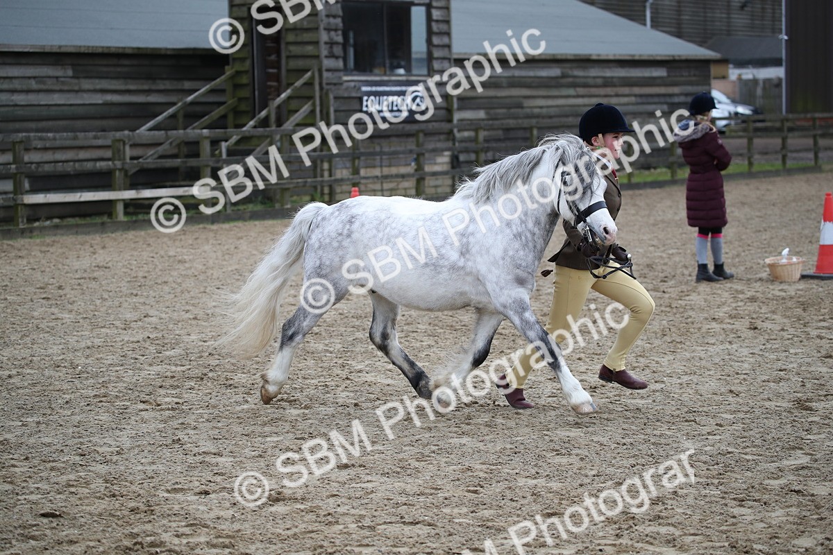 SBM_006421 - Class 10-13 - RIHS Small Large Breeds