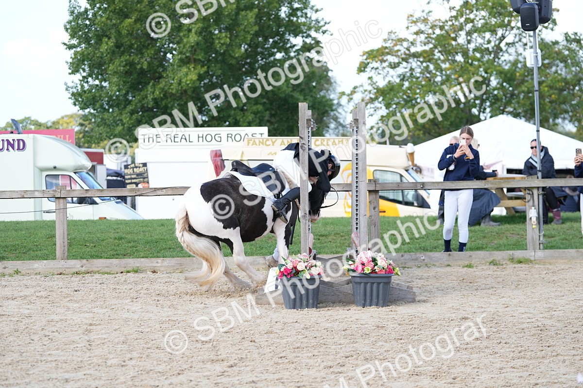 SBM_16818 - J58 - Clear Round 50cm