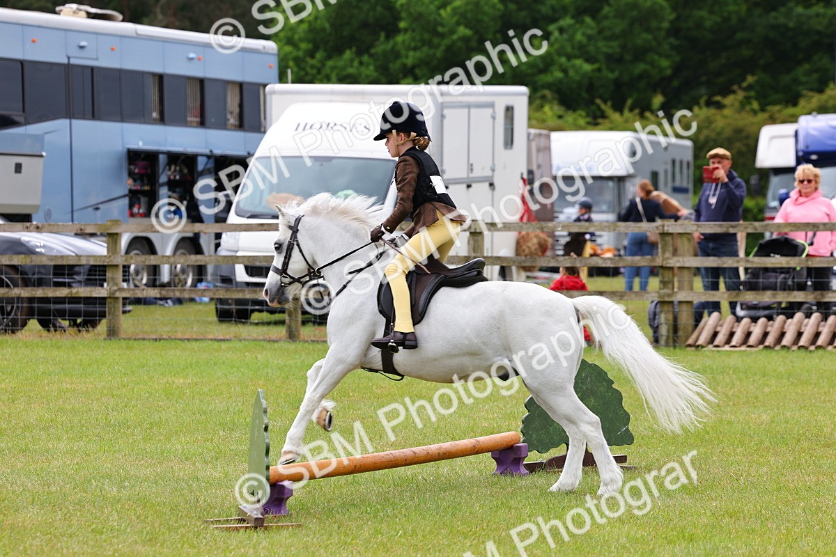 SBM_08658 - Class 42-43 - LIHS BSPS Heritage Working Sports Pony