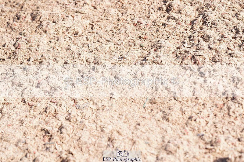 250510-084744-09619 - Cls 13 Snr Foxhunter