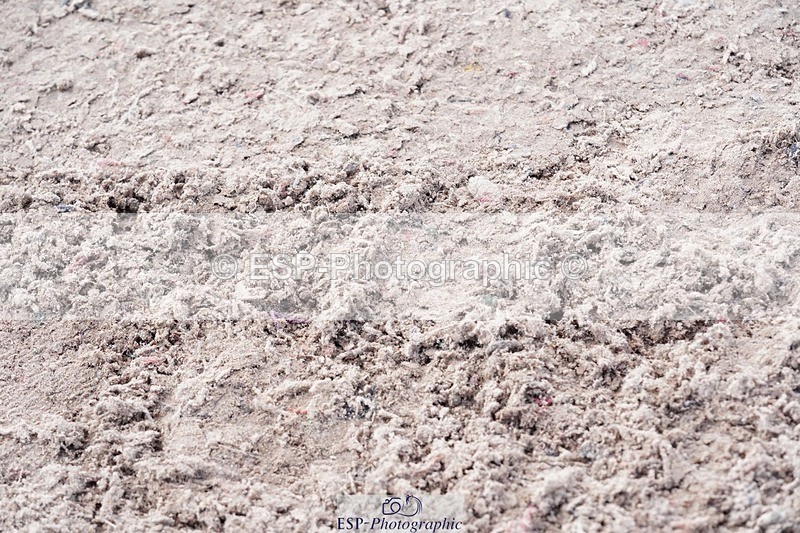 250425-135012-10089 - Cls 34 Young Horse 7yr old