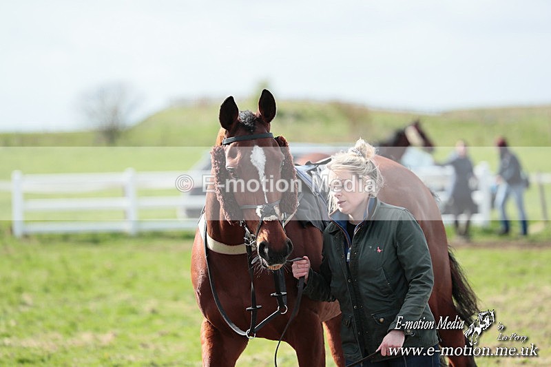 PtP 230324 324 - Tedworth Hunt PtP Larkhill Raccourse 23rd March 2024