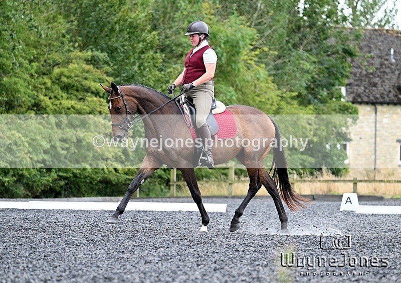 WJ7_0886 - Edited examples