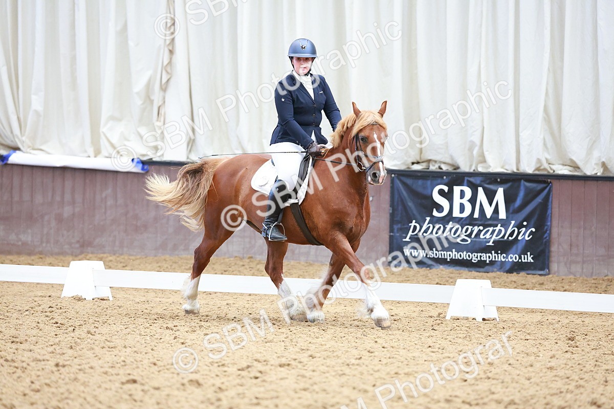 SBM_011529 - Prelim 5 - 13.05-14.01